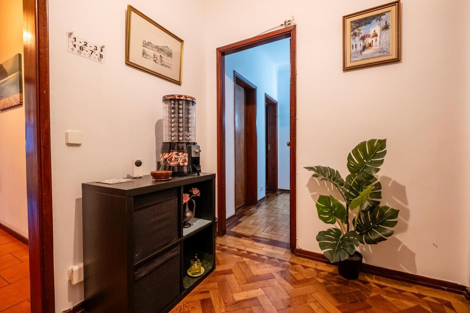 Celas Dream Studio Κοΐμπρα Εξωτερικό φωτογραφία